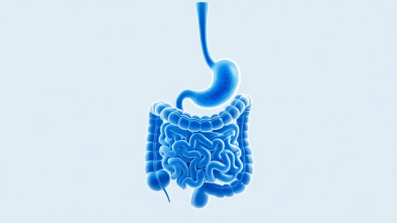 Gastroenterolog czym się zajmuje? Praktyczny przewodnik po diagnostyce